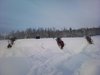 DSC_0301.jpg