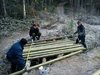 DSC00233.jpg