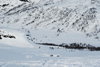 DSC_0087.jpg