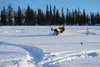DSC_0037.jpg