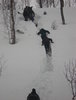 DSC07737.jpg