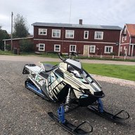 Dalahäst