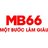 mb66nyc