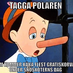 Skoterns dag